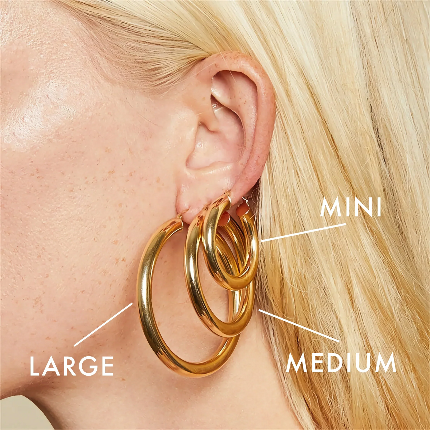 SLOANE. Broad Round Hoops
